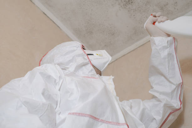 Best Office Mold Removal Services  in Creedmoor, NC