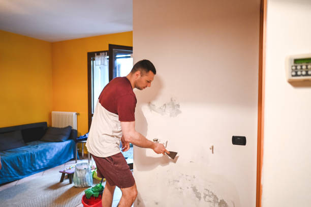 Creedmoor, NC Mold Removal Company