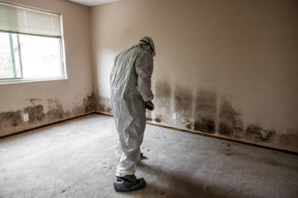 Best Office Mold Removal Services  in Creedmoor, NC