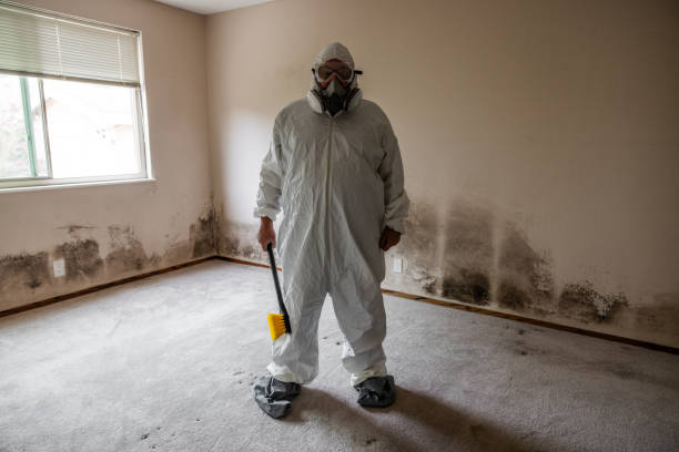 Best Local Mold Removal Service  in Creedmoor, NC